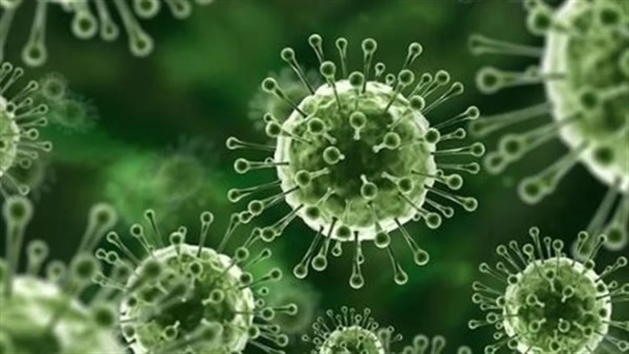 تحركات تايوانية عاجلة.. تشديد الرقابة الصحية لمواجهة تفشي فيروس نيباه في الهند 2026